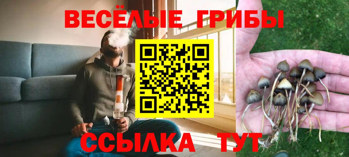 Псилоцибиновые грибы Magic Shrooms Ухта