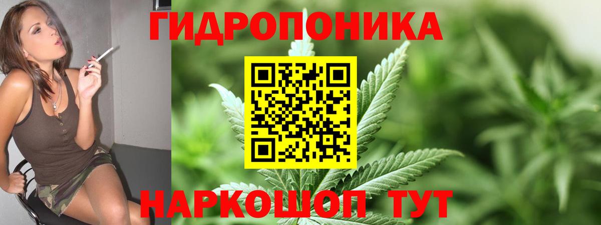 Марихуана Amnesia Ухта